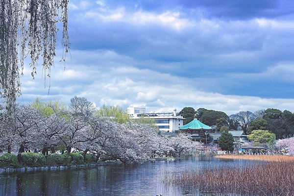上野恩賜公園