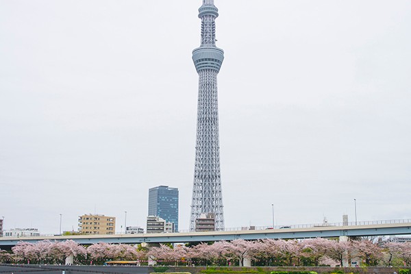 東京晴空塔