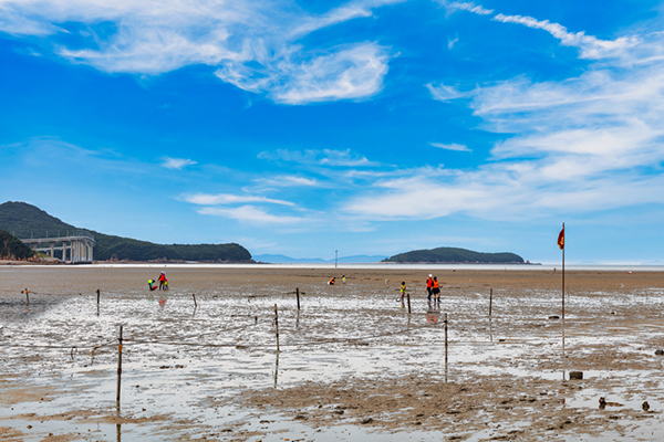 永宗島馬嘶鞍海邊